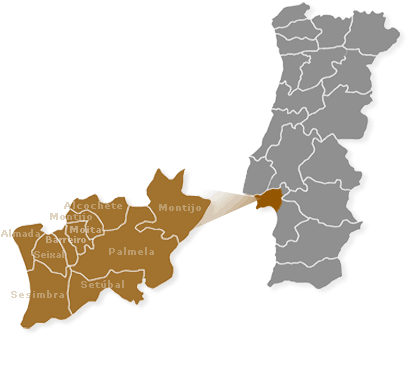 Sesimbra, Almada, Barreiro, Moita, Palmela, Seixal, Setúbal, Cascais, Oeiras, Lisboa